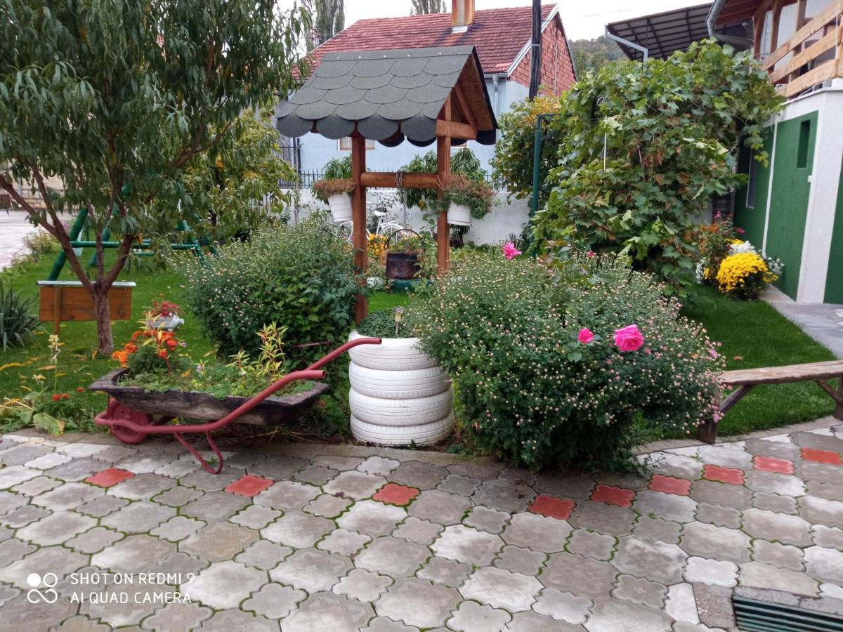 Guest House Vila Banjica Pirot Luaran gambar