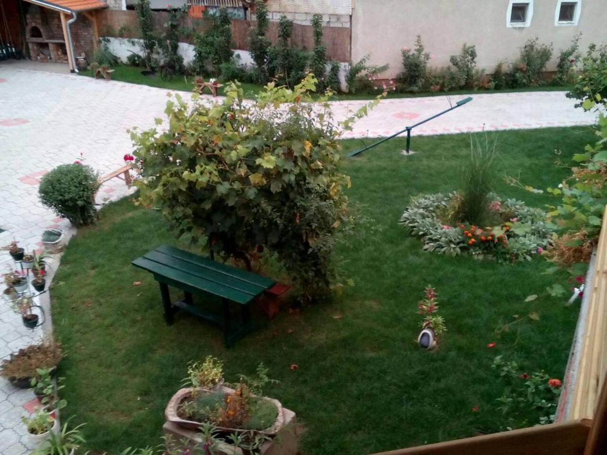 Guest House Vila Banjica Pirot Luaran gambar