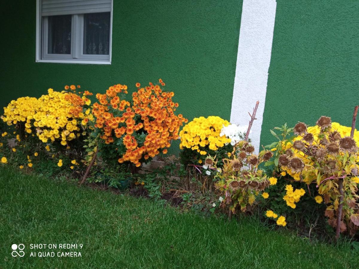 Guest House Vila Banjica Pirot Luaran gambar