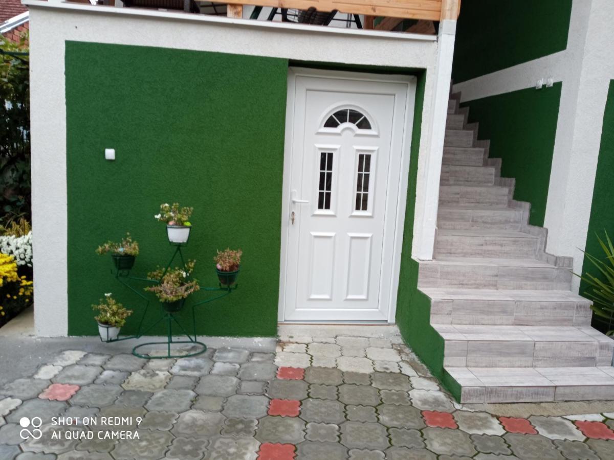 Guest House Vila Banjica Pirot Luaran gambar