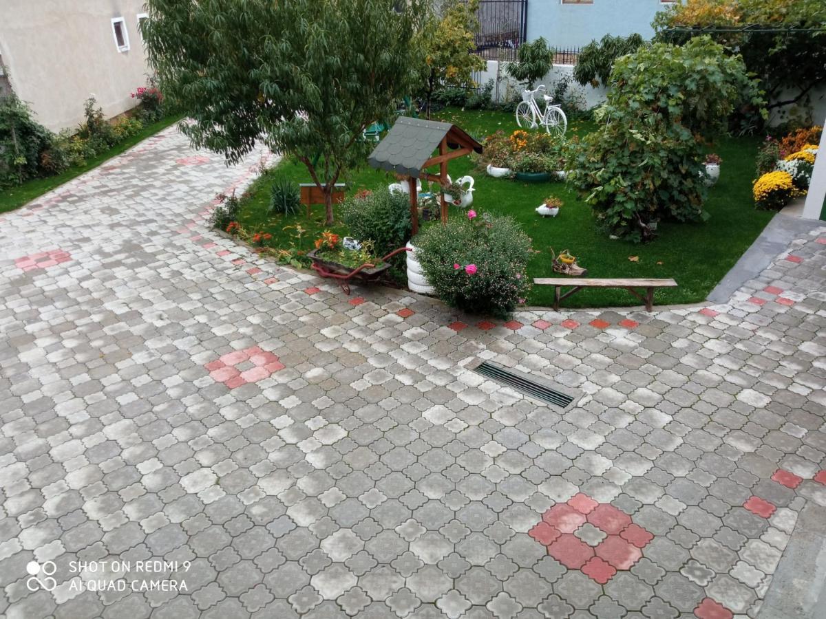 Guest House Vila Banjica Pirot Luaran gambar