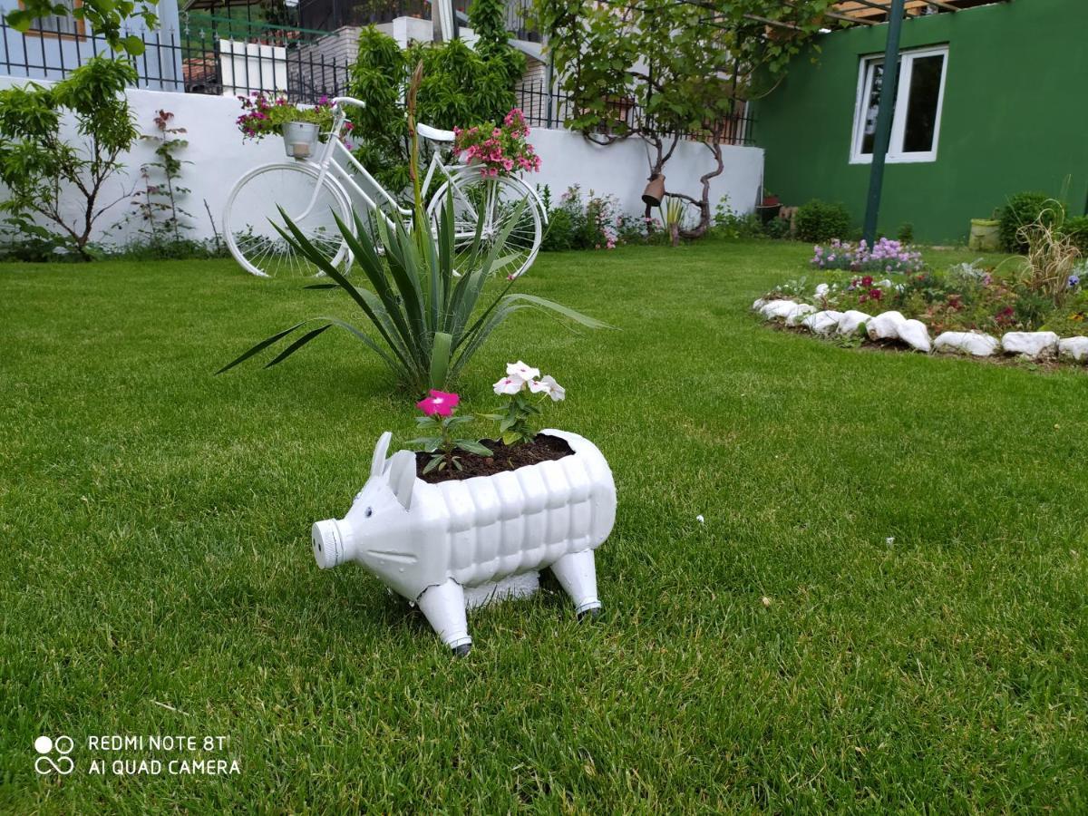 Guest House Vila Banjica Pirot Luaran gambar