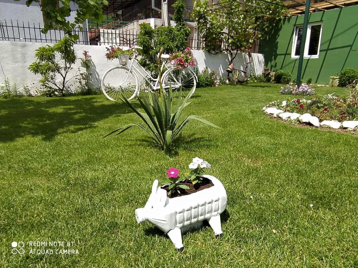 Guest House Vila Banjica Pirot Luaran gambar