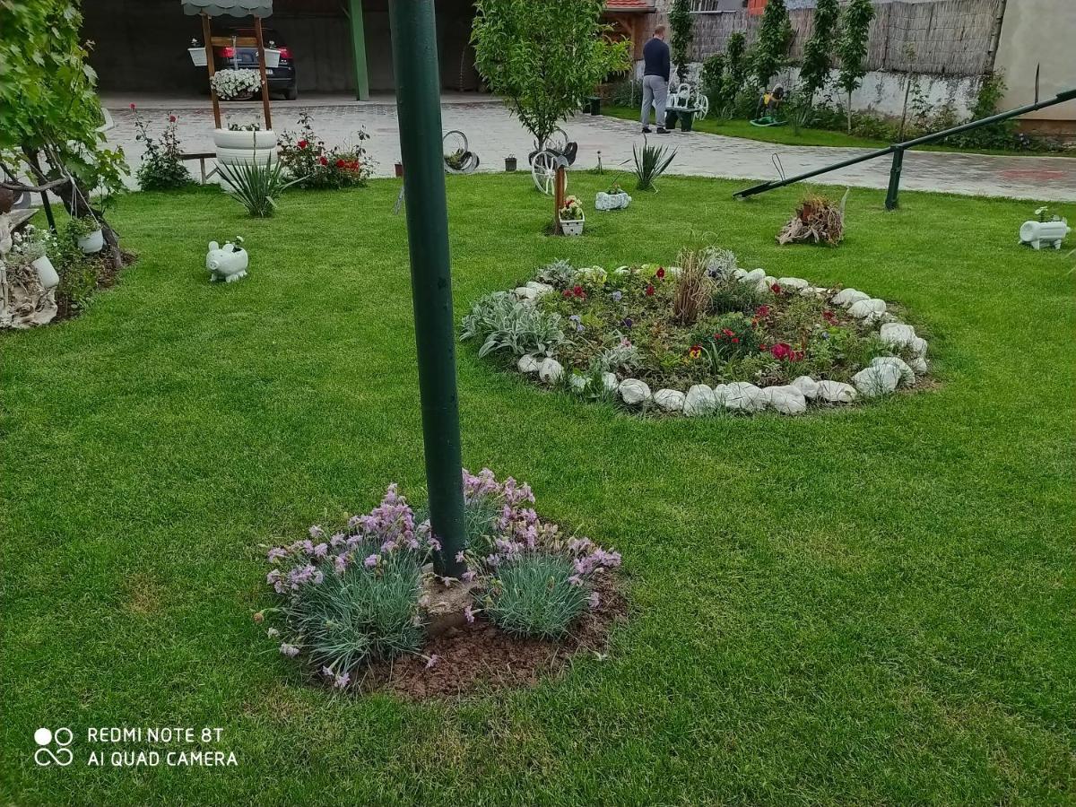 Guest House Vila Banjica Pirot Luaran gambar