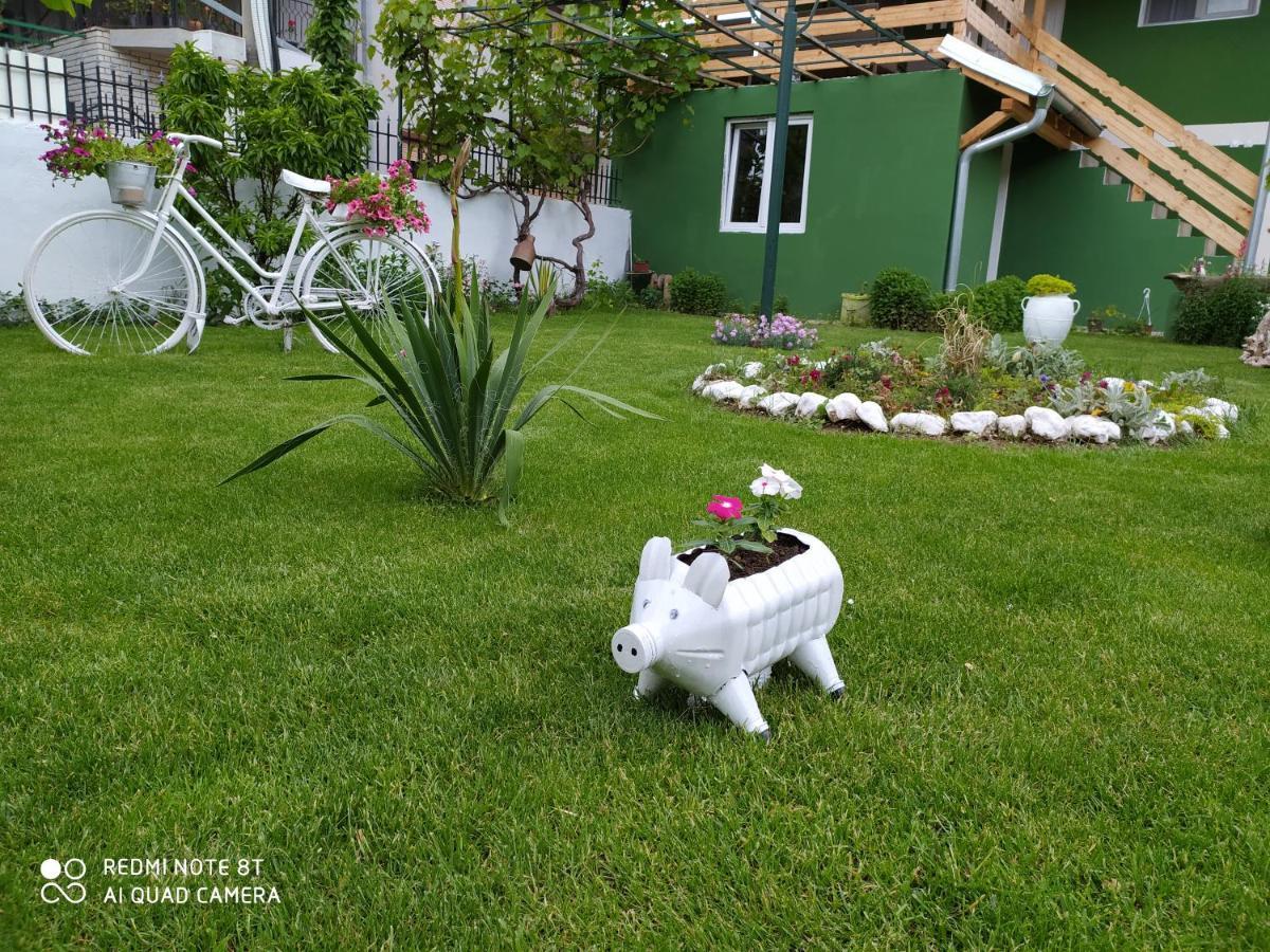 Guest House Vila Banjica Pirot Luaran gambar