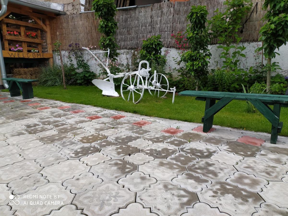 Guest House Vila Banjica Pirot Luaran gambar