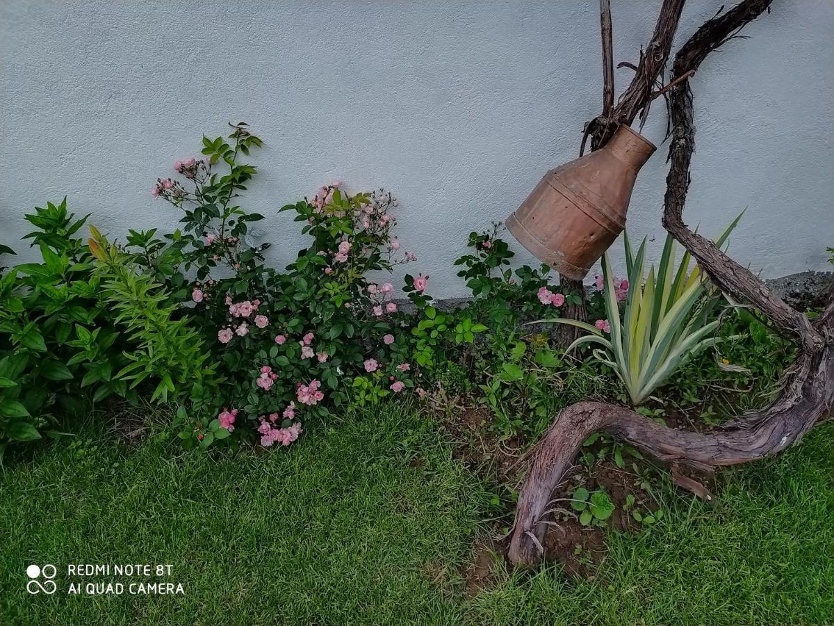 Guest House Vila Banjica Pirot Luaran gambar